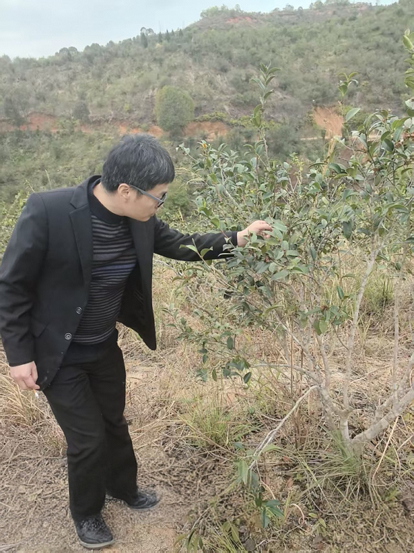 图片1(1).png