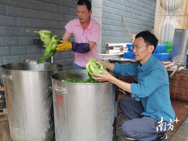 31c10fd7068d4fc388c7a486787c026d_batchwm.jpg