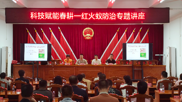 image(7).png